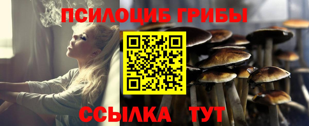 Похвистнево  Галлюциногенные грибы Psilocybe  Вход с VPN 